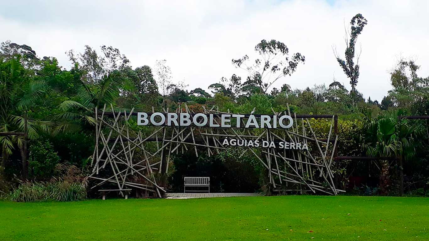 borboletário-dicas-verão