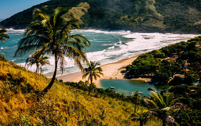 Bonete de Ilhabela