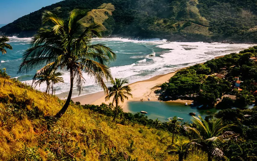 Bonete de Ilhabela